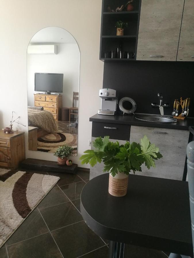 Studio Anastasia Sapareva Banya Eksteriør billede