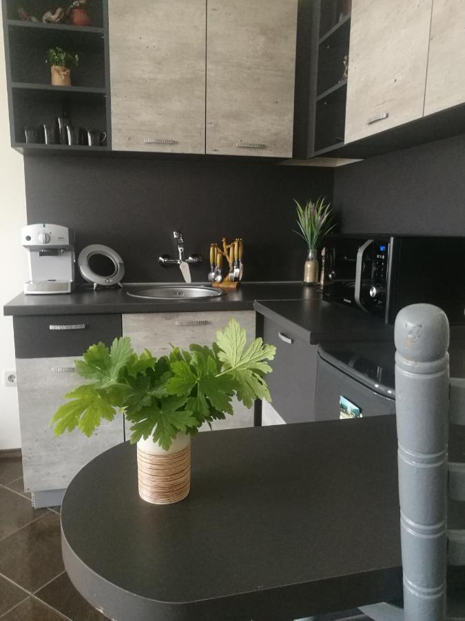 Studio Anastasia Sapareva Banya Eksteriør billede